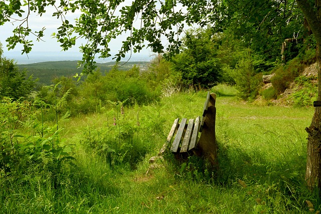 更是情感上 更是情感上