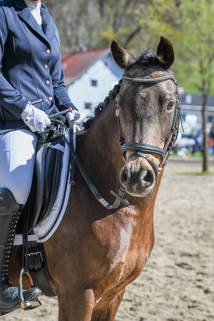 毅行者2024｜拉3公里光纖上山設流動發射站　覆蓋麥徑網絡盲點.