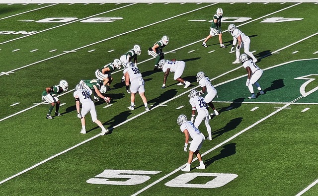 他们计划投 他们计划投