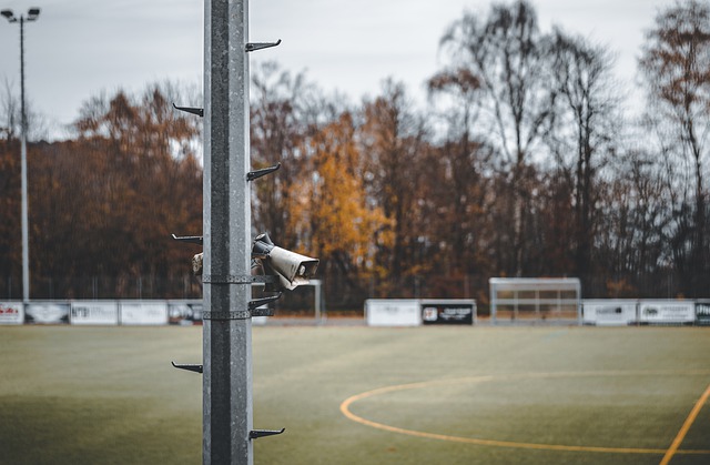 曝雷恩妖人中場卡馬文加將加盟皇家馬德裏.